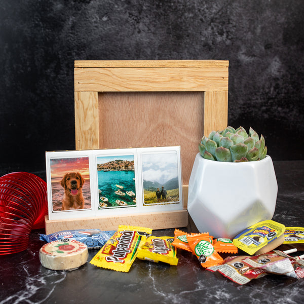 Kit Instax / Portarretrartos y Suculenta