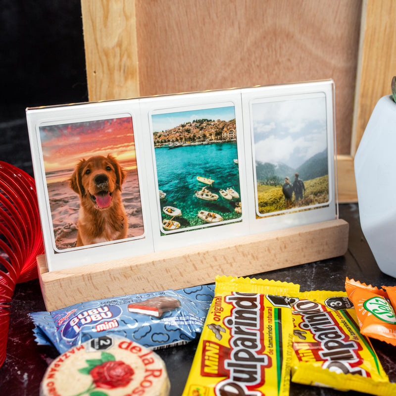 Kit Instax / Portarretrartos y Suculenta